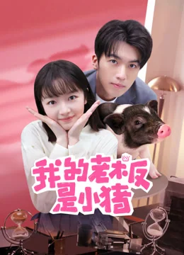 《我的老板是小猪》作品海报
